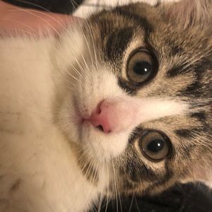 Meet your Posher, Marina